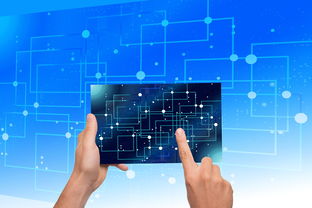 爱游戏app活动-中国篮球教练员执教能力提升路径研究，中国篮球教练员岗位培训a级教程书籍